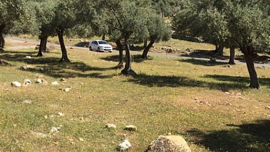 Başvurular 25 Haziran'da sona eriyor