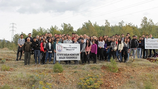 100 adet Çam Fidanı Dikildi