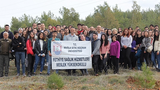 100 adet Çam Fidanı Dikildi