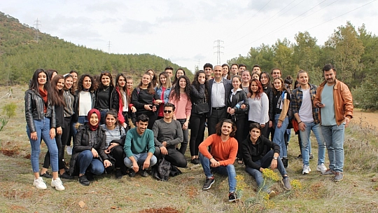 100 adet Çam Fidanı Dikildi