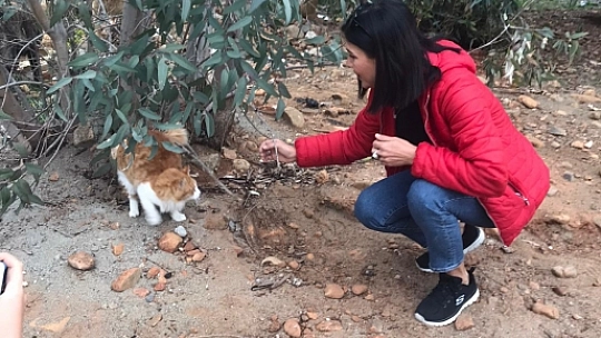 Selda Korhan Türkiye'ye örnek oluyor