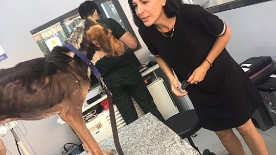 Selda Korhan Türkiye'ye örnek oluyor