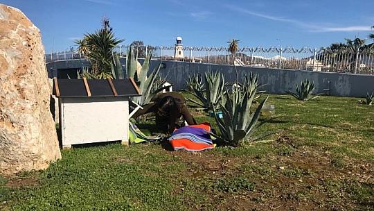 Selda Korhan Türkiye'ye örnek oluyor