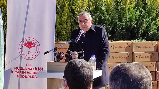 Fethiye İncirköy'de Tıbbi Aromatik Bayramı