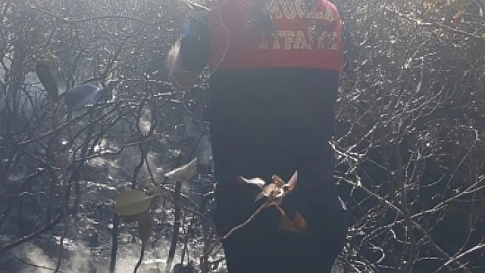 Bodrum'da yangın paniği 