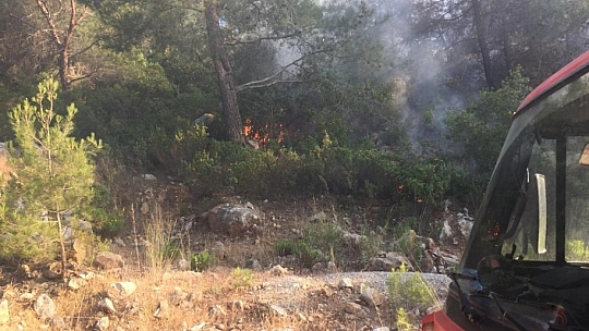 Bodrum'da yangın paniği 