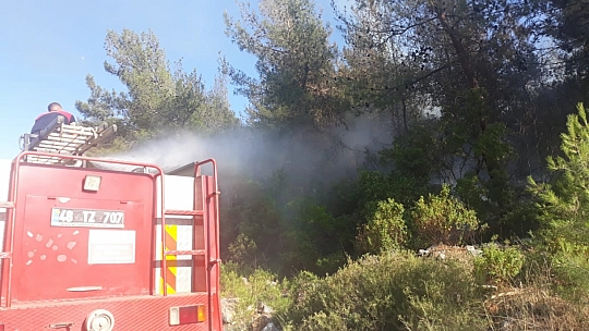 Bodrum'da yangın paniği 