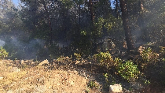 Bodrum'da yangın paniği 