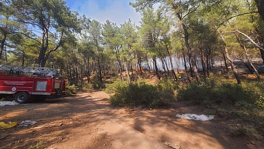 Seydikemer Karaköy'de yangın başladı!