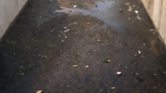 Kokan dereler CHP'li belediyeleri ikiye böldü