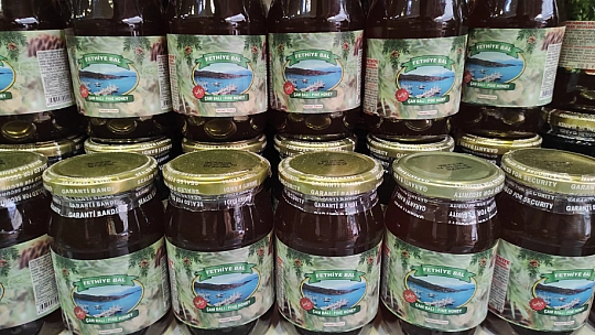 Çam balında kayıp yıl