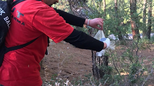 Akut Planlı Bölgesel Eğitimi Fethiye'de