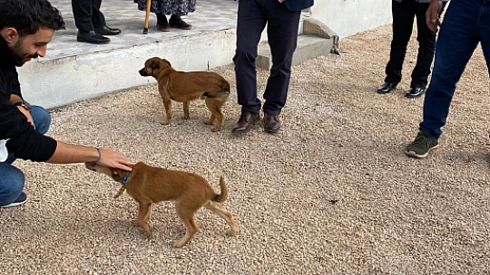 Memduha Teyze Evine Kavuştu