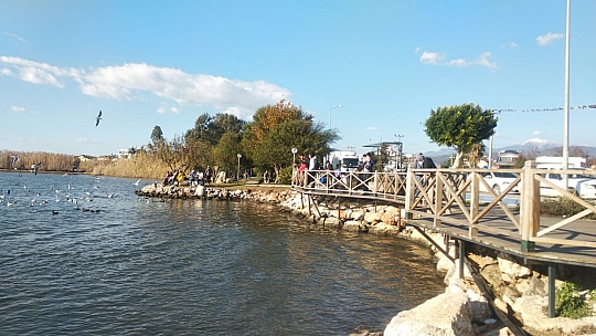 Güzel hava ördeklere yaradı