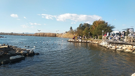 Güzel hava ördeklere yaradı