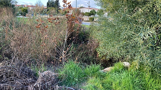 Vatandaş lağımdan şikayetçi