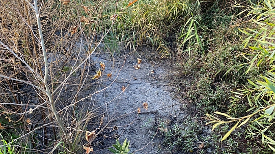 Vatandaş lağımdan şikayetçi