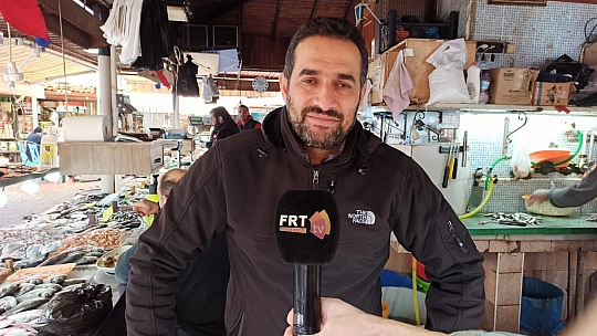 Bağışıklık sistemi için balık 