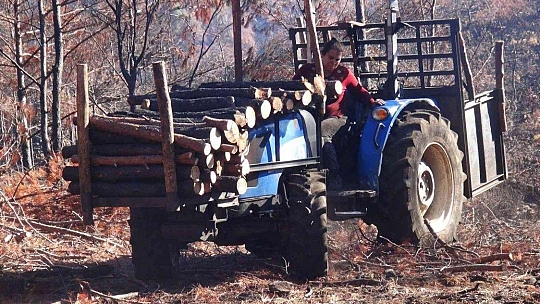 Yanan sahalara kadın eli