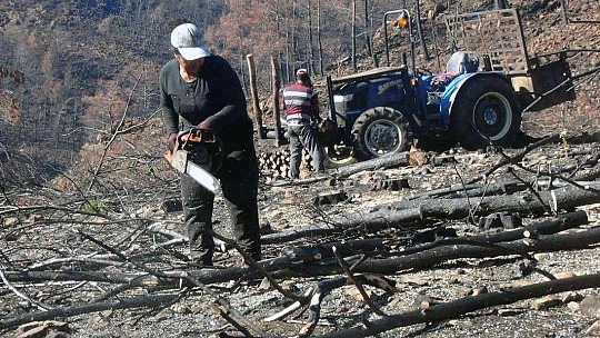 Yanan sahalara kadın eli