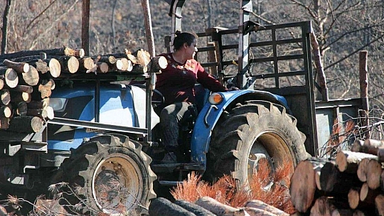 Yanan sahalara kadın eli