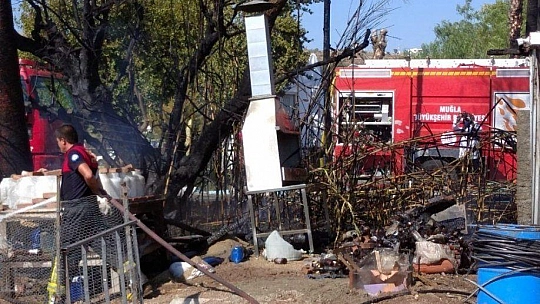 Yangına müdahale eden herkes yandı: 15 yaralı