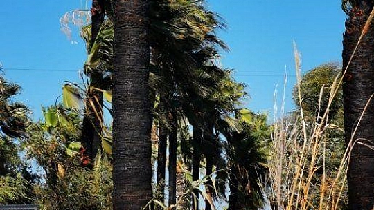 Yangına müdahale eden herkes yandı: 15 yaralı