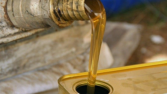 Yangınlar Marmaris Çam Balını olumsuz etkiledi