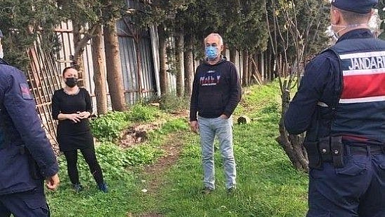 Yavruları olan köpek tüfekle vurularak öldürüldü