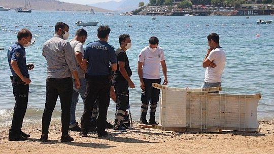 Yüzerken cesetle karşılaştılar