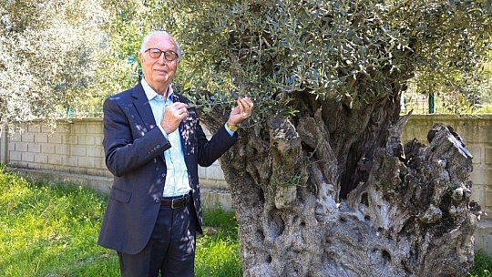 Atıcı, dökme ve varilli zeytinyağına getirilen ihracat yasağını değerlendirdi