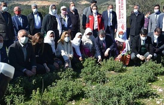 Fethiye'de Aromatik Bitkiler Bayramı