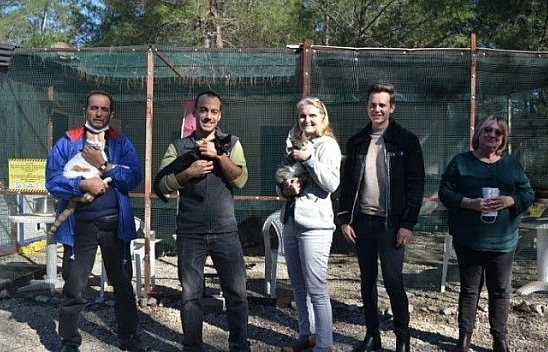Üzümlü'de sokak hayvanlarına sahip çıktılar