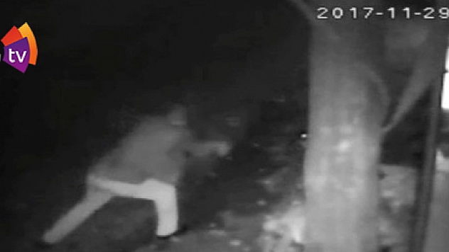 Demir sopa ile köpeği dövdü