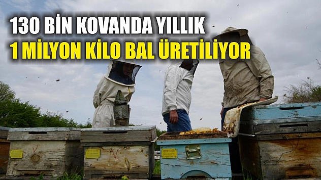 130 bin kovanda yıllık 1 milyon kilo bal üretiliyor