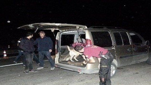 Bodrum'da huzur operasyonu