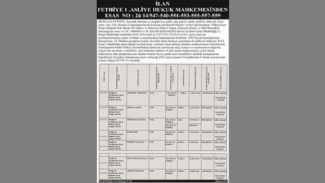 FETHİYE 1.ASLİYE HUKUK MAHKEMESİNDEN