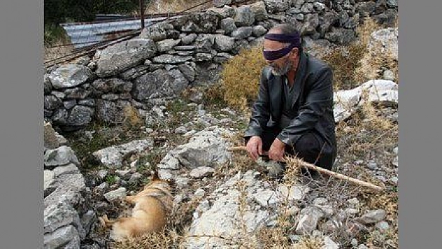 ZEHİRLENEN KÖPEĞİNİN YERİNE YENİSİ VERİLECEK...