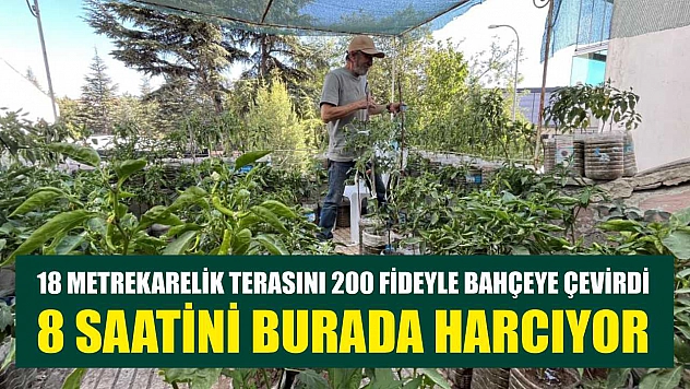 18 metrekarelik terasını 200 fideyle bahçeye çevirdi, 8 saatini burada harcıyor