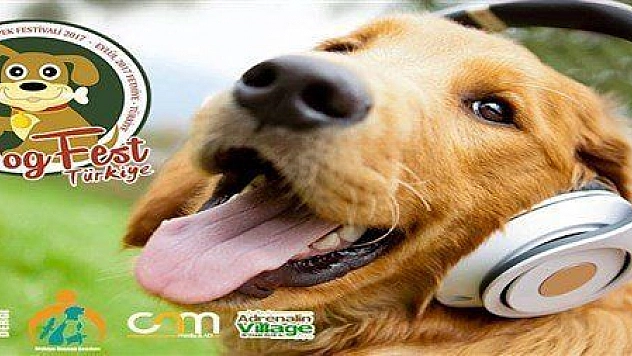 FETHİYEDE BİR İLK  'KÖPEK FESTİVALİ' DÜZELENİYOR