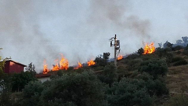 Milas'ta otluk alanda yangın