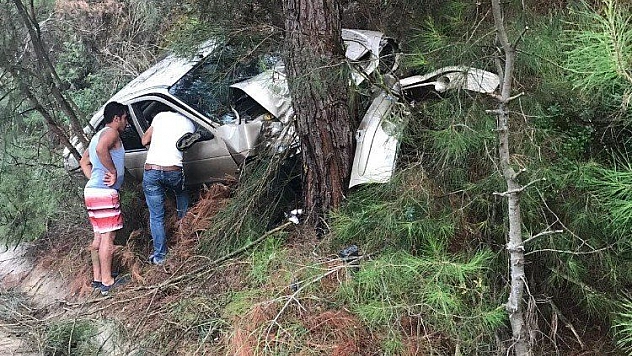 Alkollü sürücü ağaca çarptı