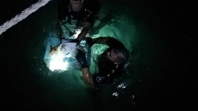 Sahil Güvenlik Ekipleri kedi için seferber oldu