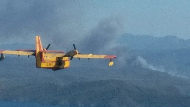 Kaza yapan araç 20 hektar ormanı kül etti