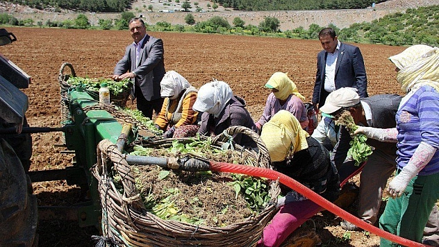 Baştuğ, 'Çiftçilerimize zirai alet hibe desteği şart'
