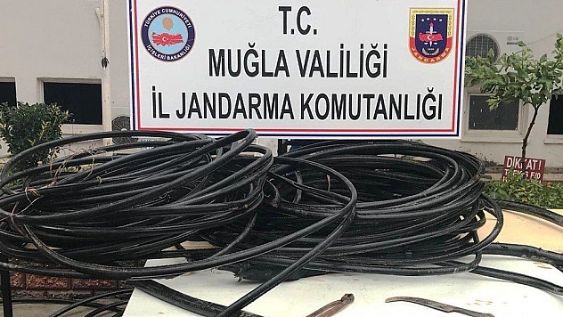 Kabloları keserken suçüstü yakalandılar