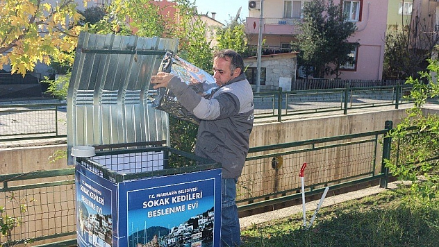 Marmaris'te sokak kedileri aç kalmıyor