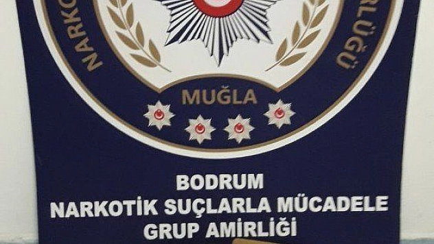 Kargodan uyuşturucu çıktı