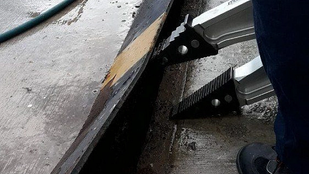 Ekipler yavru kedi için seferber oldu