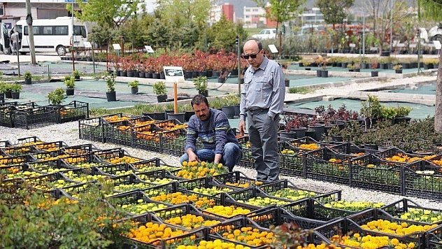 Menteşe Belediyesi'nin Çiçek Bahçesi rengarenk